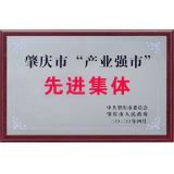 肇庆市“产业强市”先进集体